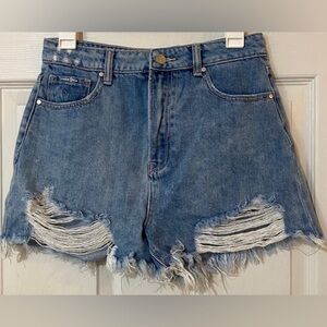Insane Gene Denim Shorts 
Medium